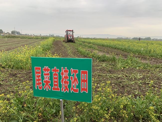 養(yǎng)殖場糞污環(huán)保處理的常用方法有哪些？